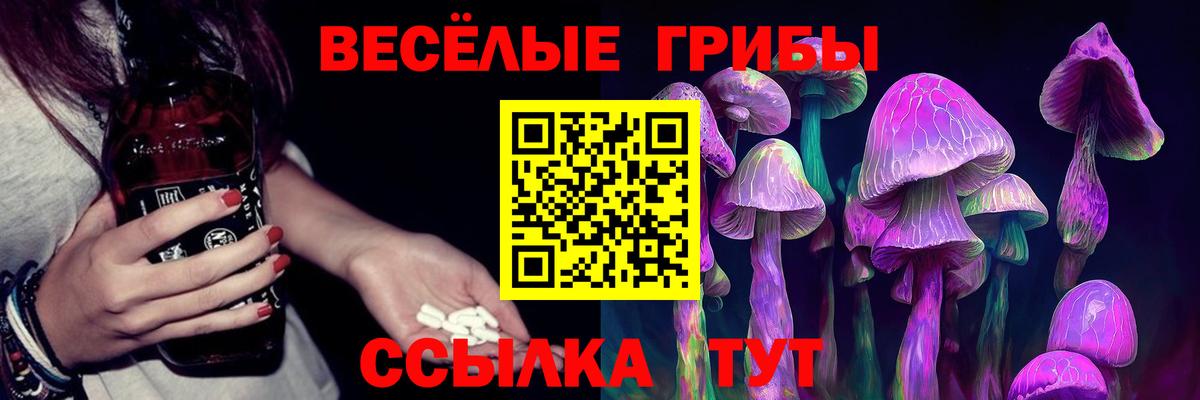 Галлюциногенные грибы Magic Shrooms  Вход с VPN  Якутск 